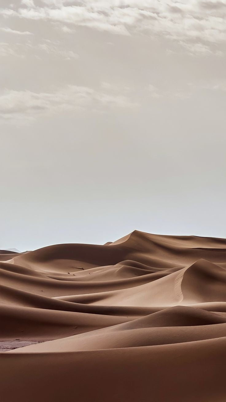 KIFAHARI dune bikini